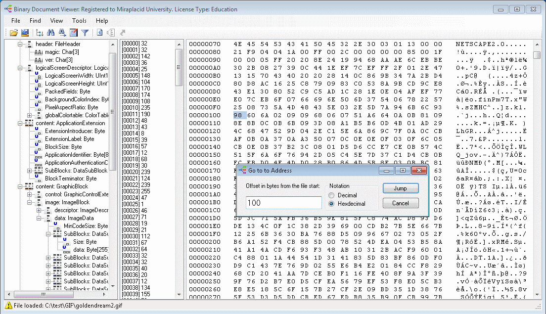 Binary Viewer Find