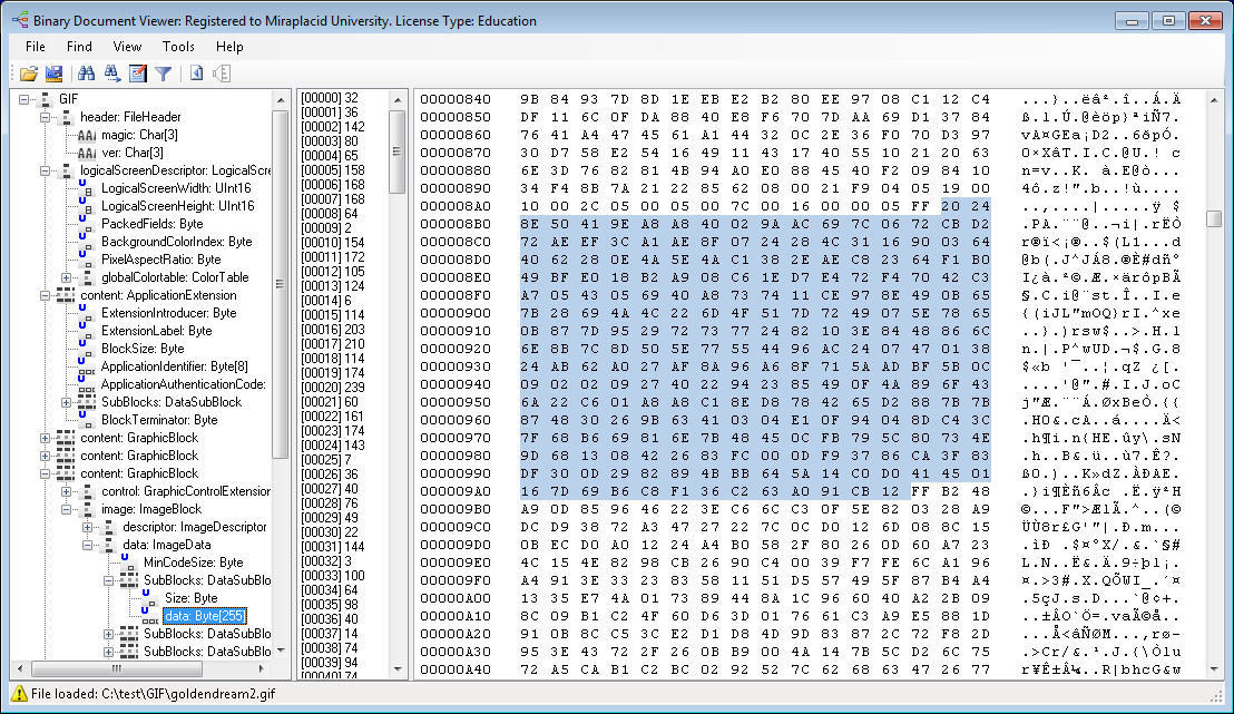 Access to internal structure of a binary file